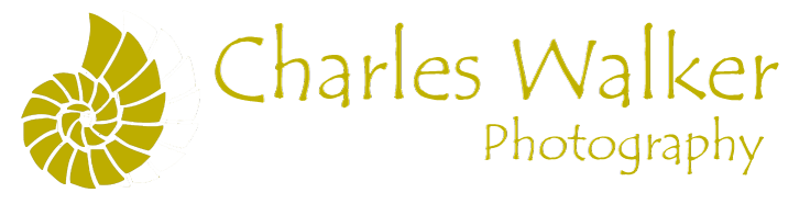Charles Walker | Photography